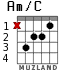 Am/C